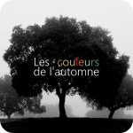 Les couleurs de l'automne (3:57)